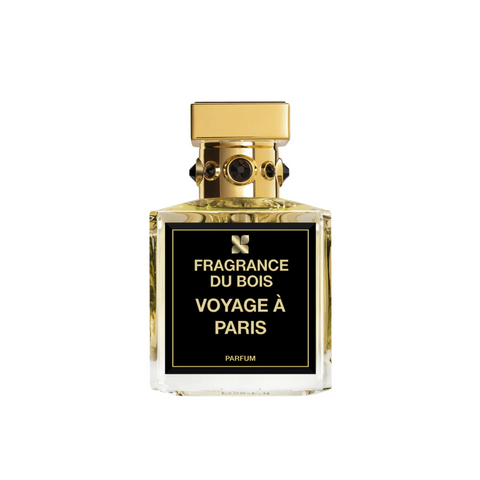 Voyage A Paris